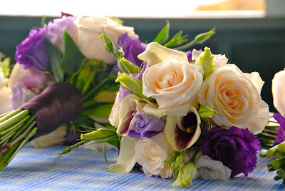 DSC 0281 - Kate & Adam - August 7th 2010 (more photos!)