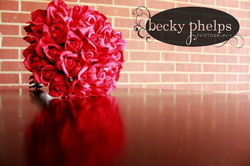 Becky Phelps Photography