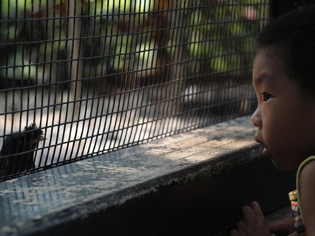 [P8309166.JPG]