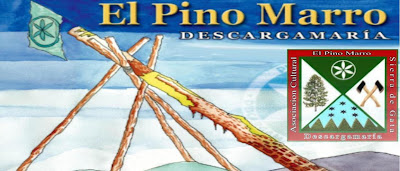 Pino Marro