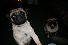 My Boys