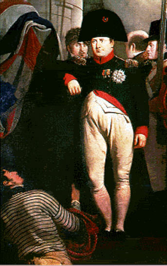 The Club Of Compulsive Readers Violets For Napoleon