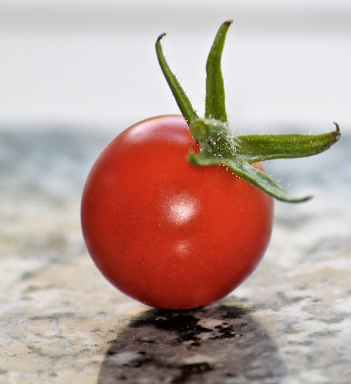 first tomato of the season
