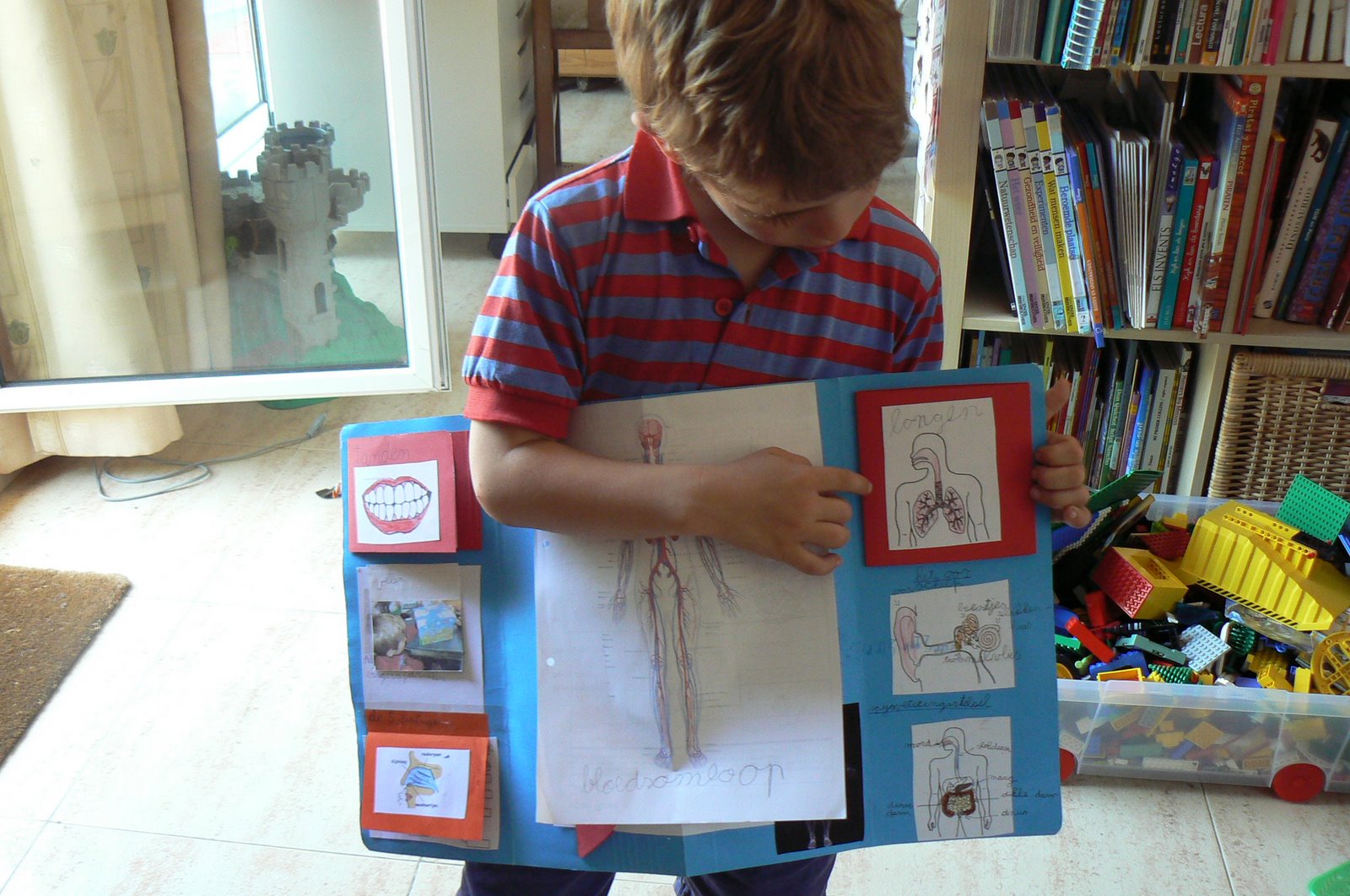 [dibmÃ¡gico+001.jpg]