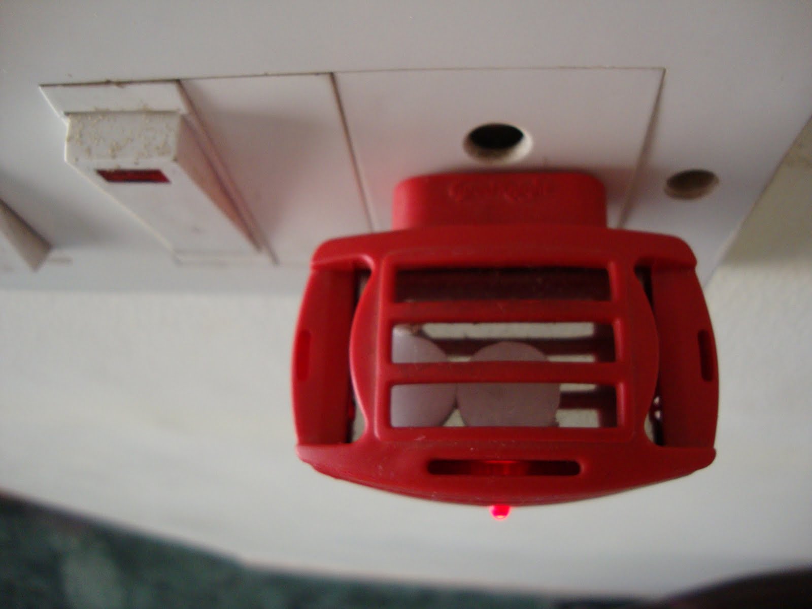 Camphor as Mosquito Repellent HomeRemedies