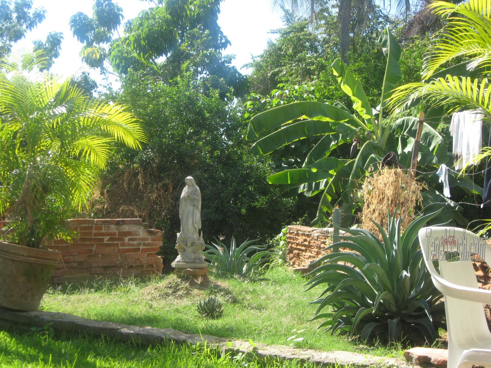 Living Barra de Navidad Lady of Guadalupe Festivities Rosaries