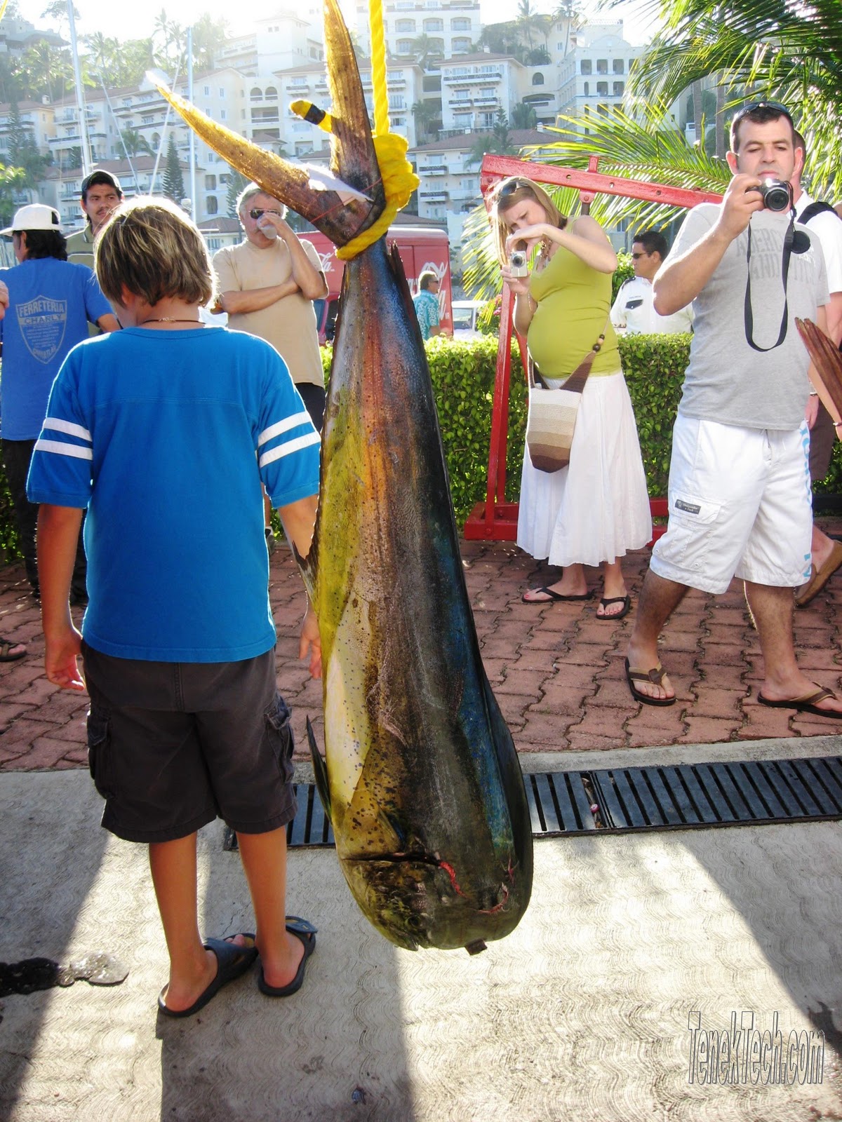 Living Barra de Navidad XXXVI International Fishing Tournament Sail