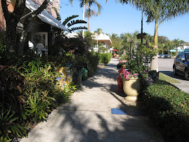 Naples shopping district