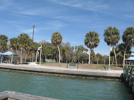 Lunch in the park in Sarasota