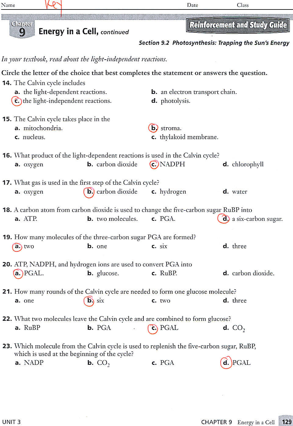 9th-grade-biology-worksheet-answers