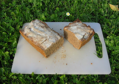 My first Rye Bread with Sourdough 