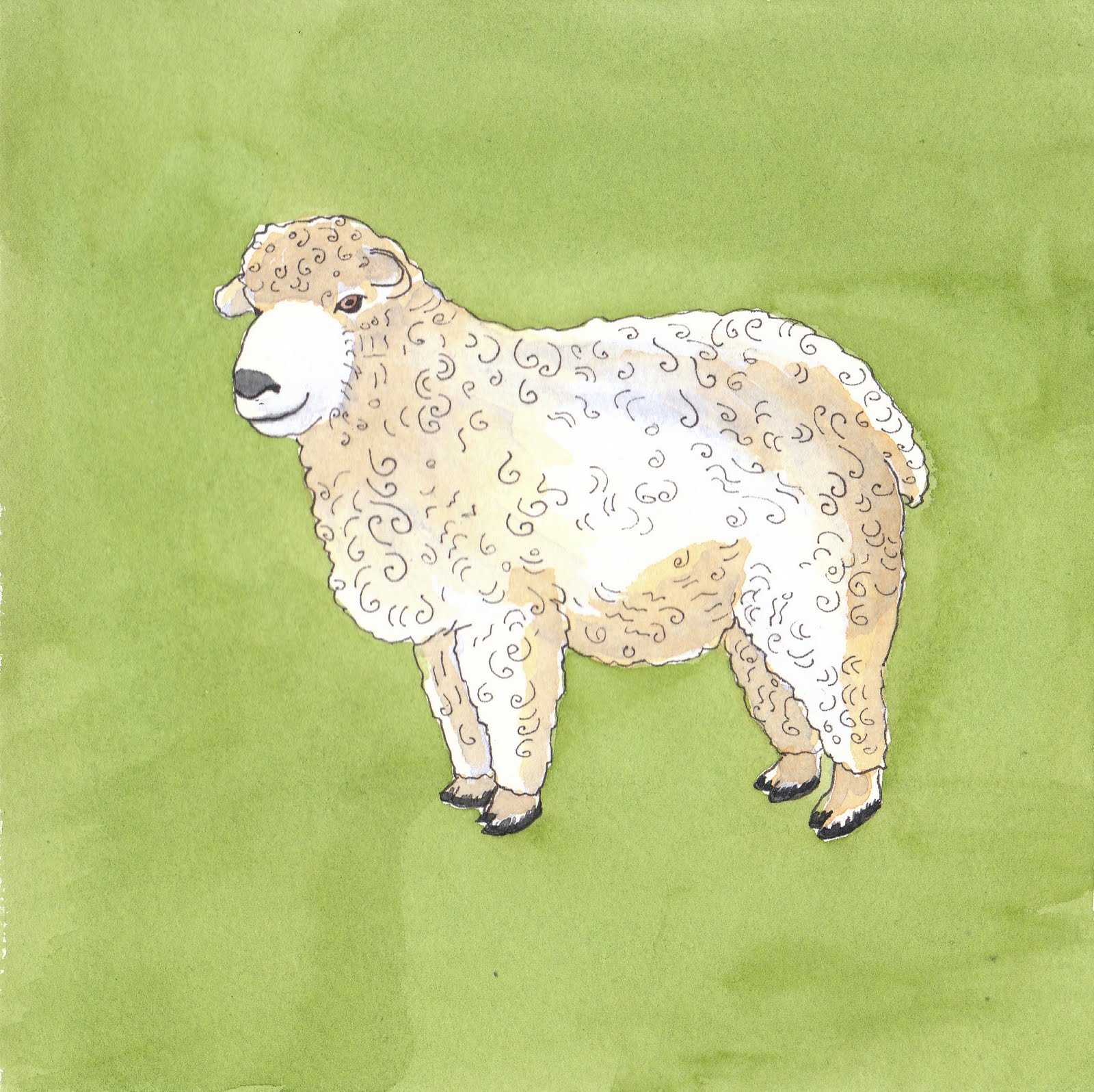 Stay Curious Baa baa black sheep