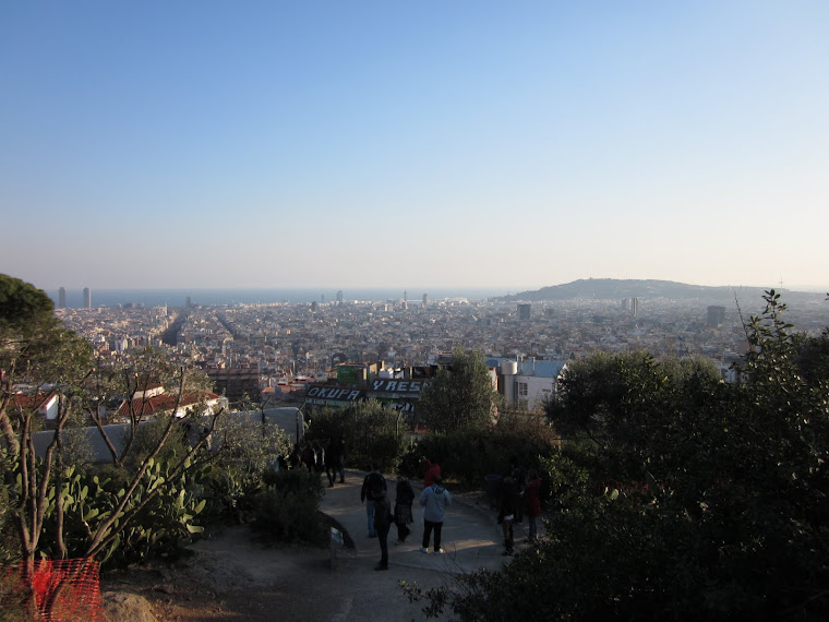 View of the City from Parc Guell