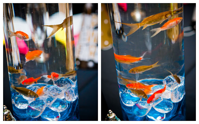 Goldfish wedding centrepieces Vase for Flowers, Gold Vase, Flower Vase Decor, Decorative Vase Centerpieces, Modern Shop Our Huge Selection · Explore Amazon Devices · Fast Shipping · Deals of the Day2,,+ followers on Twitter.