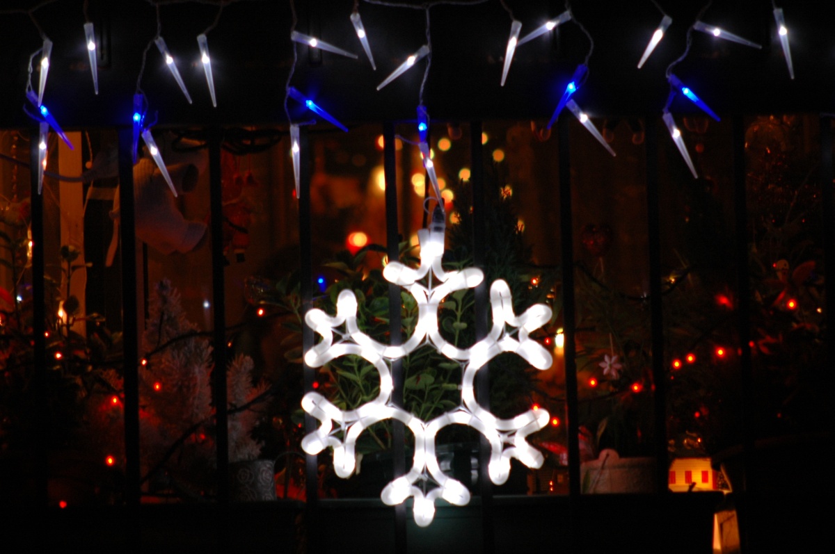 [DSC_0032.jpg]