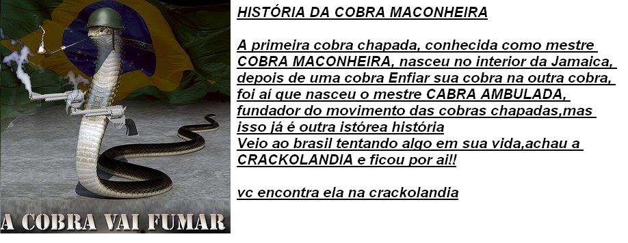 COBRA MACONHEIRA