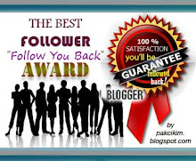 The Best Follower Award