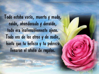 Imagen de consulta de la búsqueda visual