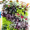 Vertical Garden Interior : Greenhouse-like 'cabin in the woods' features lush ... : Interior vertical garden are scientifically designed to ensure the best breathability and watering mechanisms to ensure that your lovely plants and flowers keep flourishing.