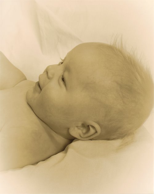 [Zion%20-%20Side%20Profile%20-%20Sepia.jpg]