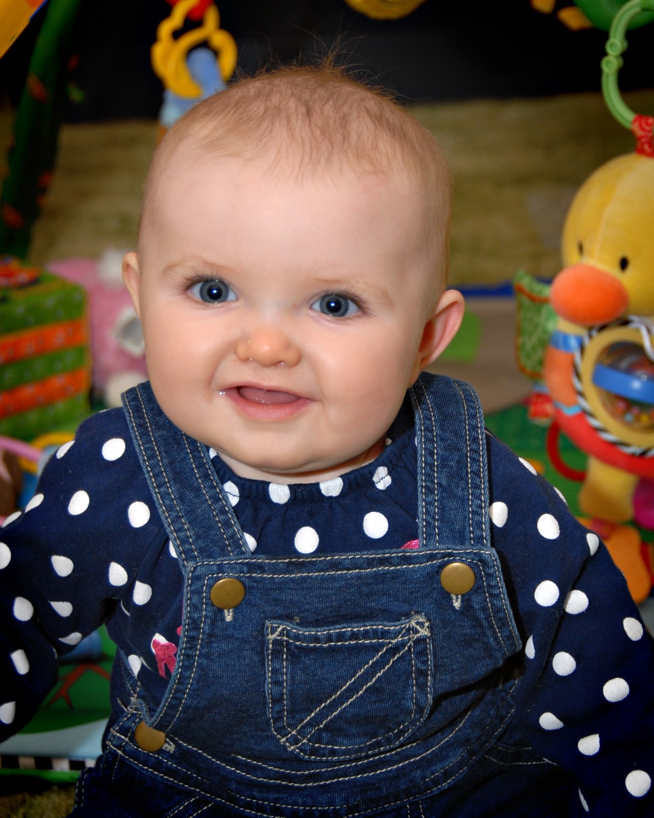 Daddy’s Little Kay Bear