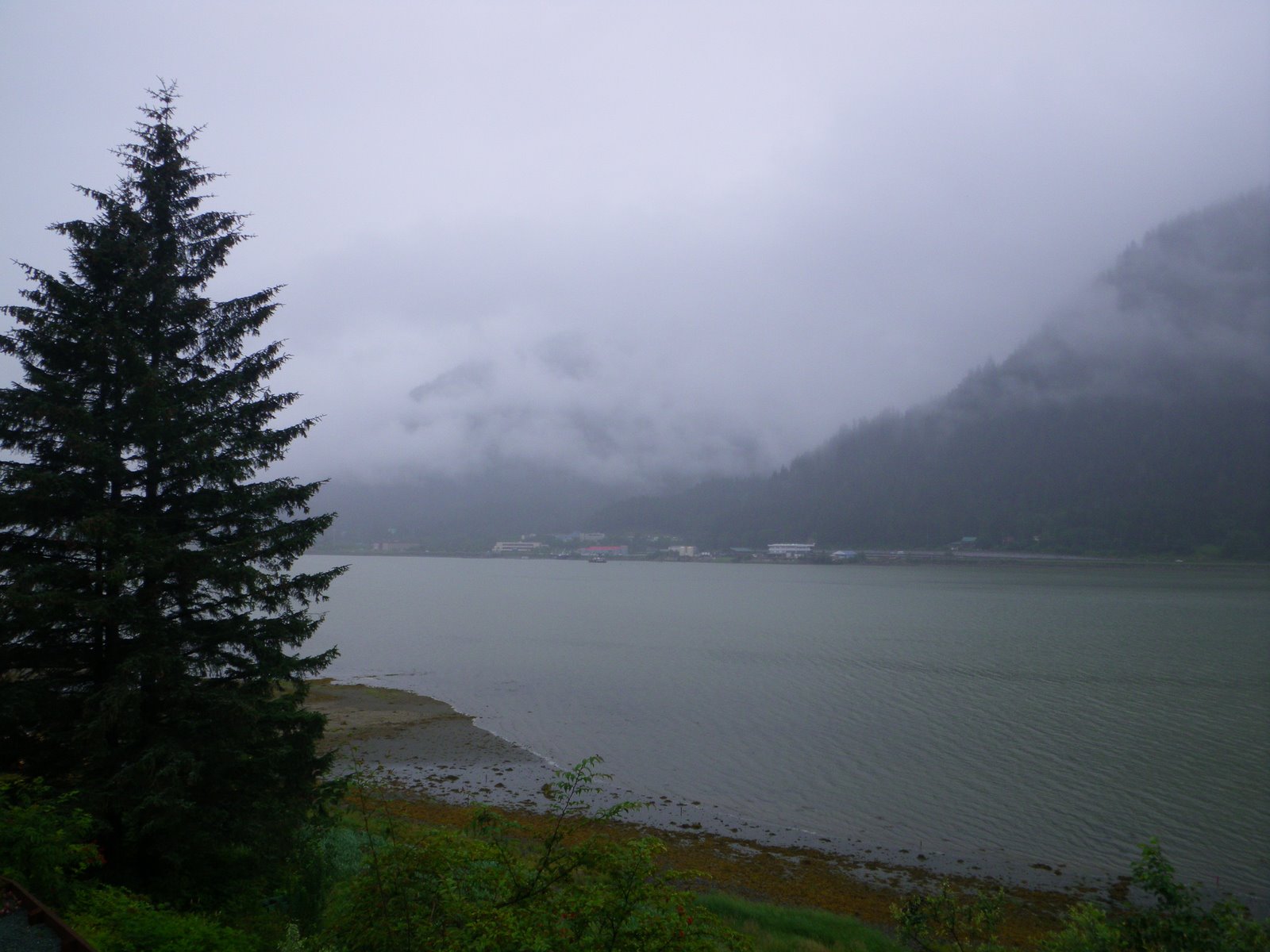 Places I Like to Go Juneau is Definitely a Rain Forest