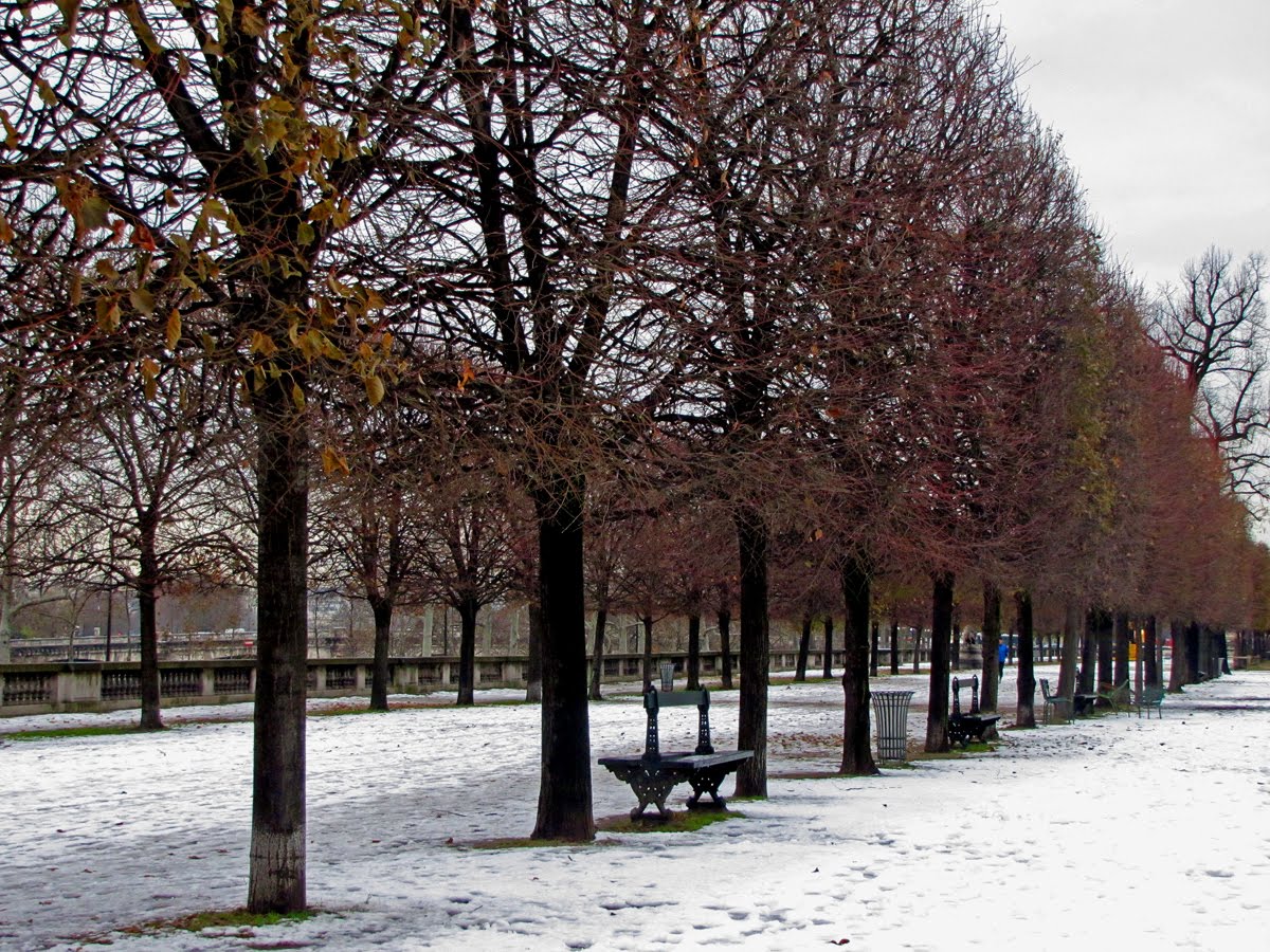 The Compleat Traveller Jardin des Tuileries, Paris