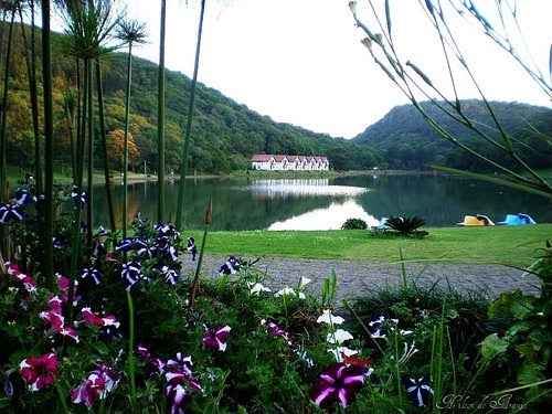 Liberty Southern Region Lagoa da Harmonia Rio Grande do Sul