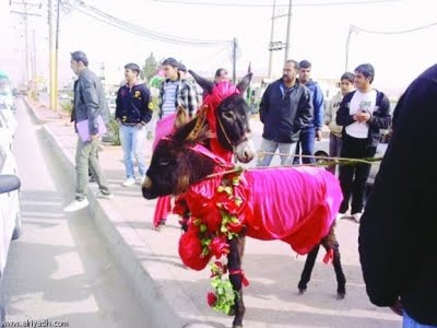 [jordan+valentine.jpg]