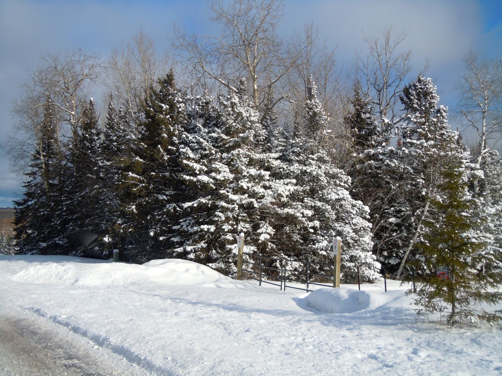 Round Circle Northland Winter