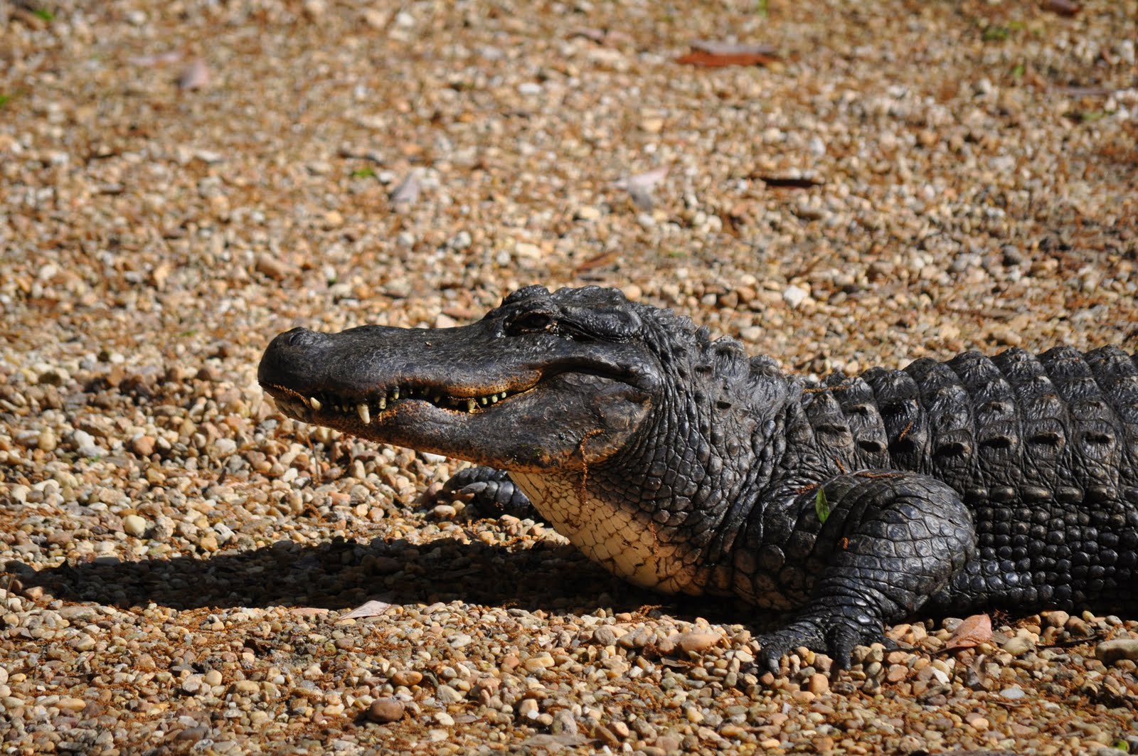 EC Visitor Information: April 2010 EC Visitor Information: April 2010