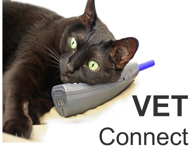 vet connect