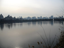 Lake in Central Park