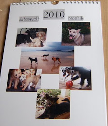der neue elfesworld kalender 2011