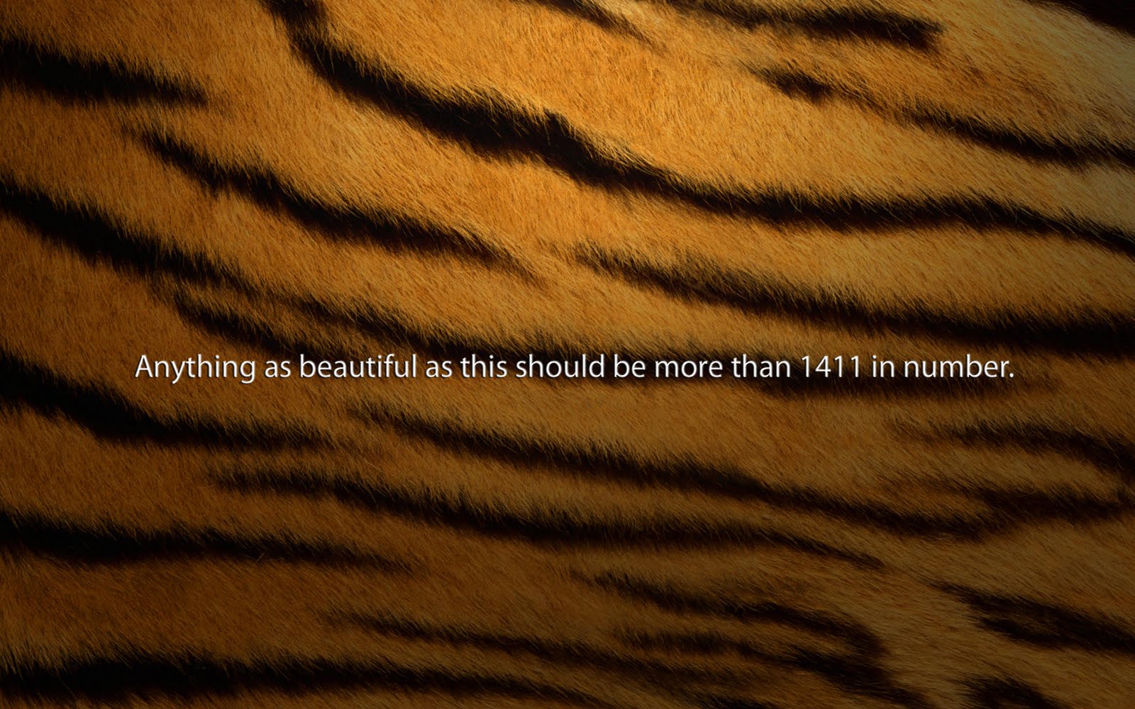 [Tiger.jpg]
