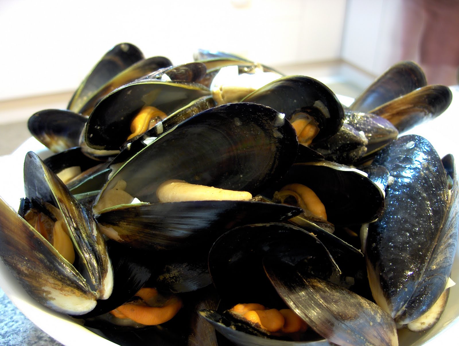 teenagefoodie Cooking Mussels with Garlic, Shallot, Chilli and a