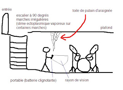 Roux des pattes: Comment vaincre sa phobie des araignées en démontant ...