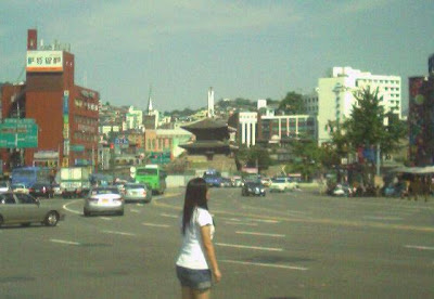 Dongdaemun Gate, south face