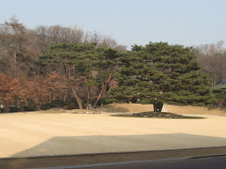 field at Cheong Wa Dae