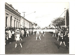 cronicas de gardenia