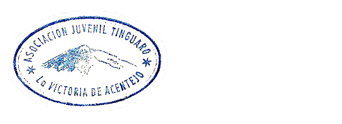 AMIGOS DE TINGUARO