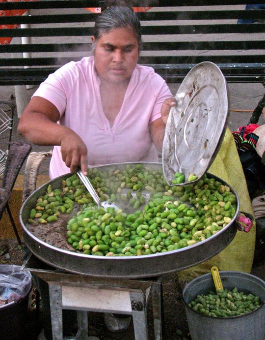 Jim & Carole's Mexico Adventure The Virgin of Guadalupe Fiesta