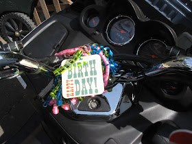 14 Pieces Sunflower Car Accessories for Women Sunflower Steering Wheel  Cover Sunflower License Plate Frame Car Keyring Bracelet Non Slip Handbrake  Cover Gear Shift Cover Seat Belt Pads Car Mat - Yahoo Shopping