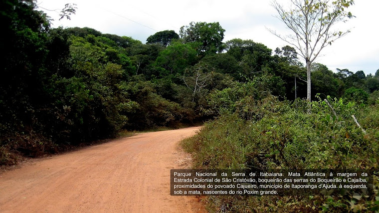 Parque Nacional da Serra de Itabaiana - Foto 03