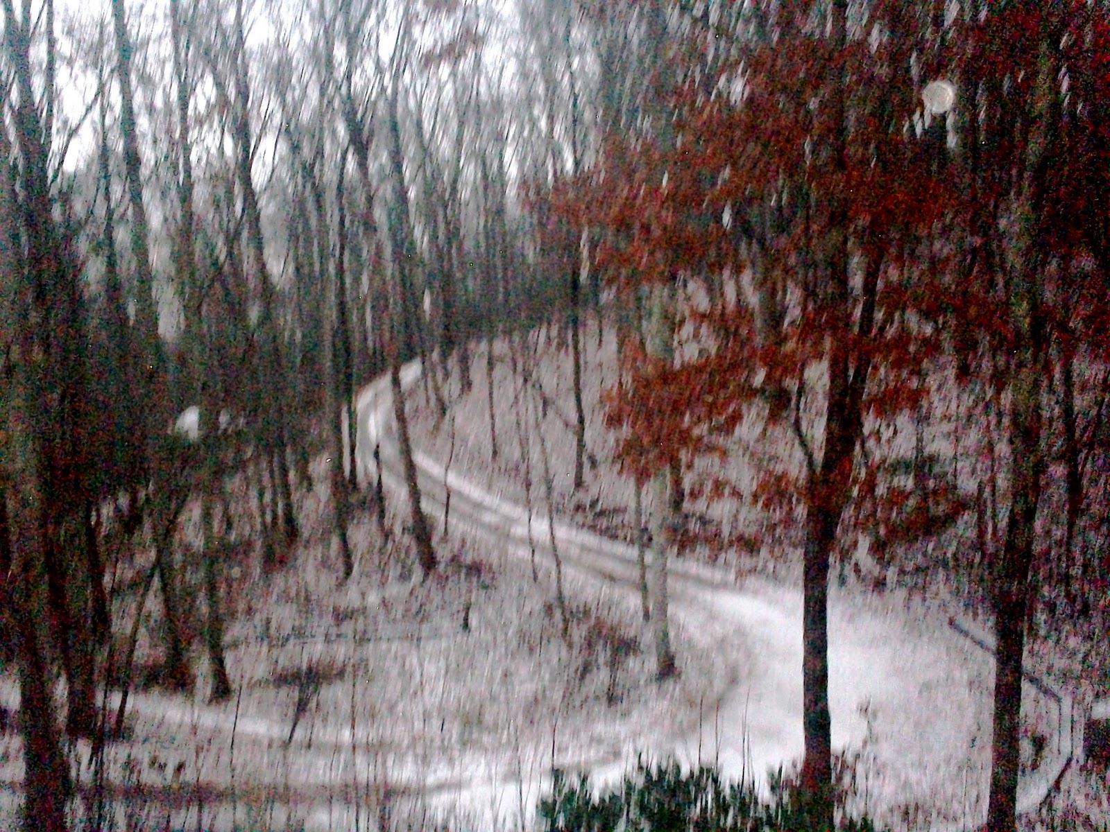 Living Above the Frost Line Snow in the Southern Appalachian Mountains