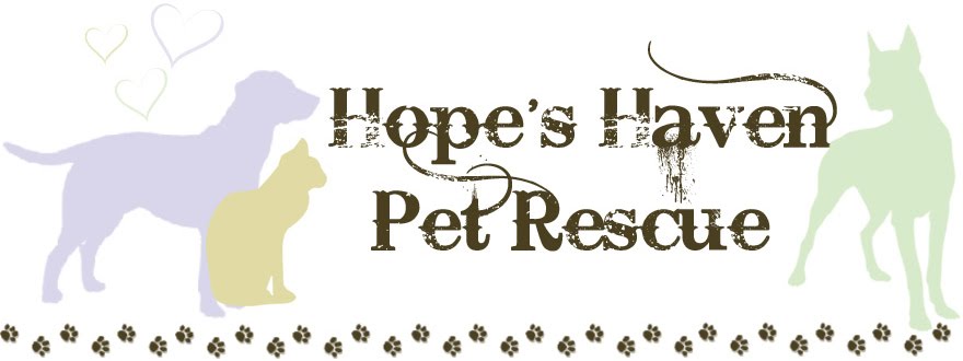 Hope's Haven Pet Rescue