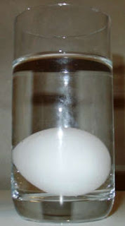 Rotten Egg Smell >> Random Facts About Random Things: Floating Eggs Rotten Egg Smell >> Random Facts About Random Things: Floating Eggs