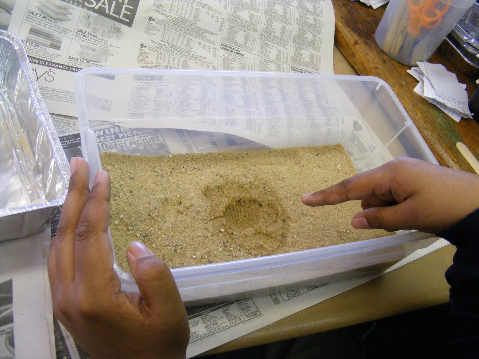 Science Mecca 20092010 7th grade Lab How do Fossils form?
