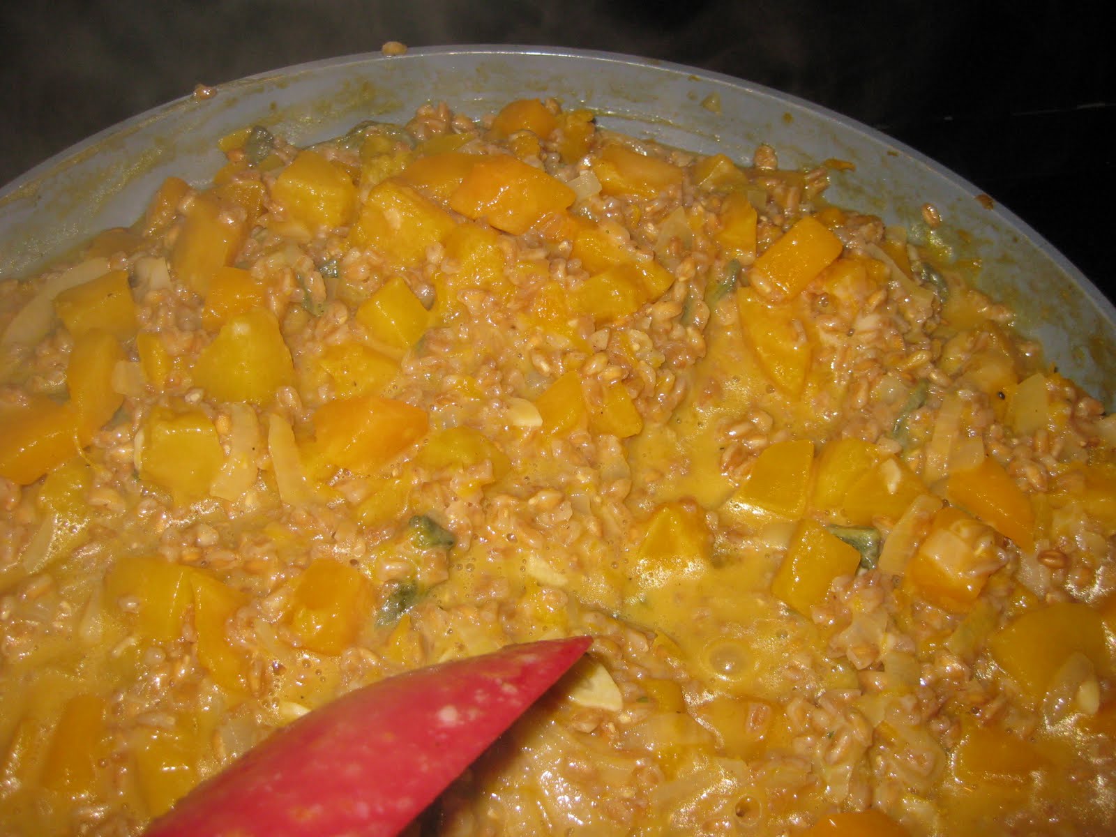 The Full Plate Blog As promised...my FarroButternut Squash Risotto recipe
