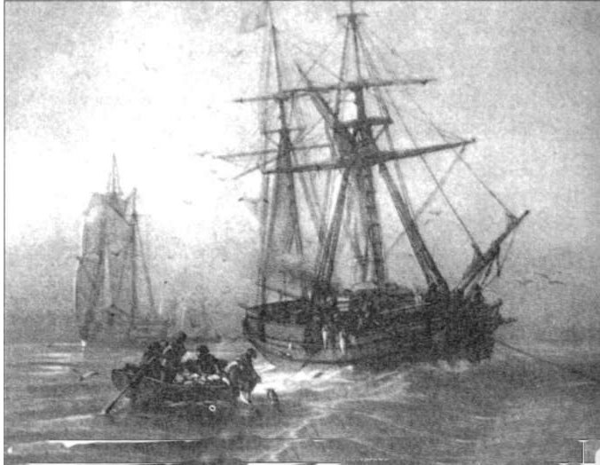 [Pesca+do+bacalhau.JPG]